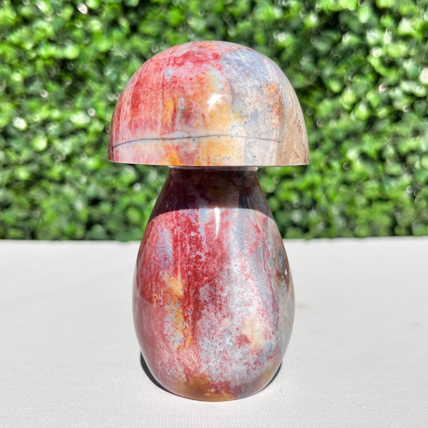 Ocean Jasper Mushroom