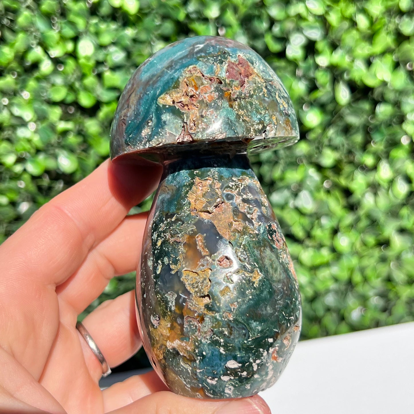 Ocean Jasper Mushroom