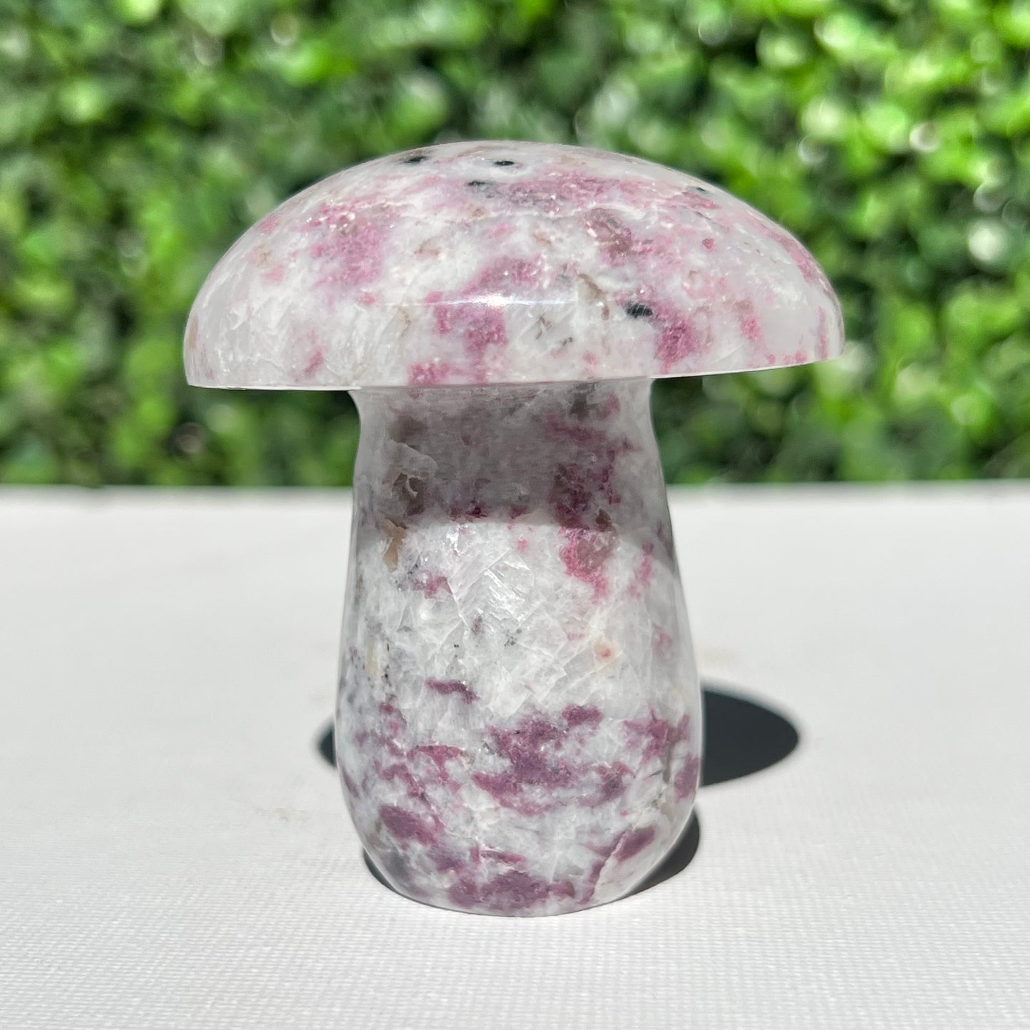 Eudialyte Mushroom