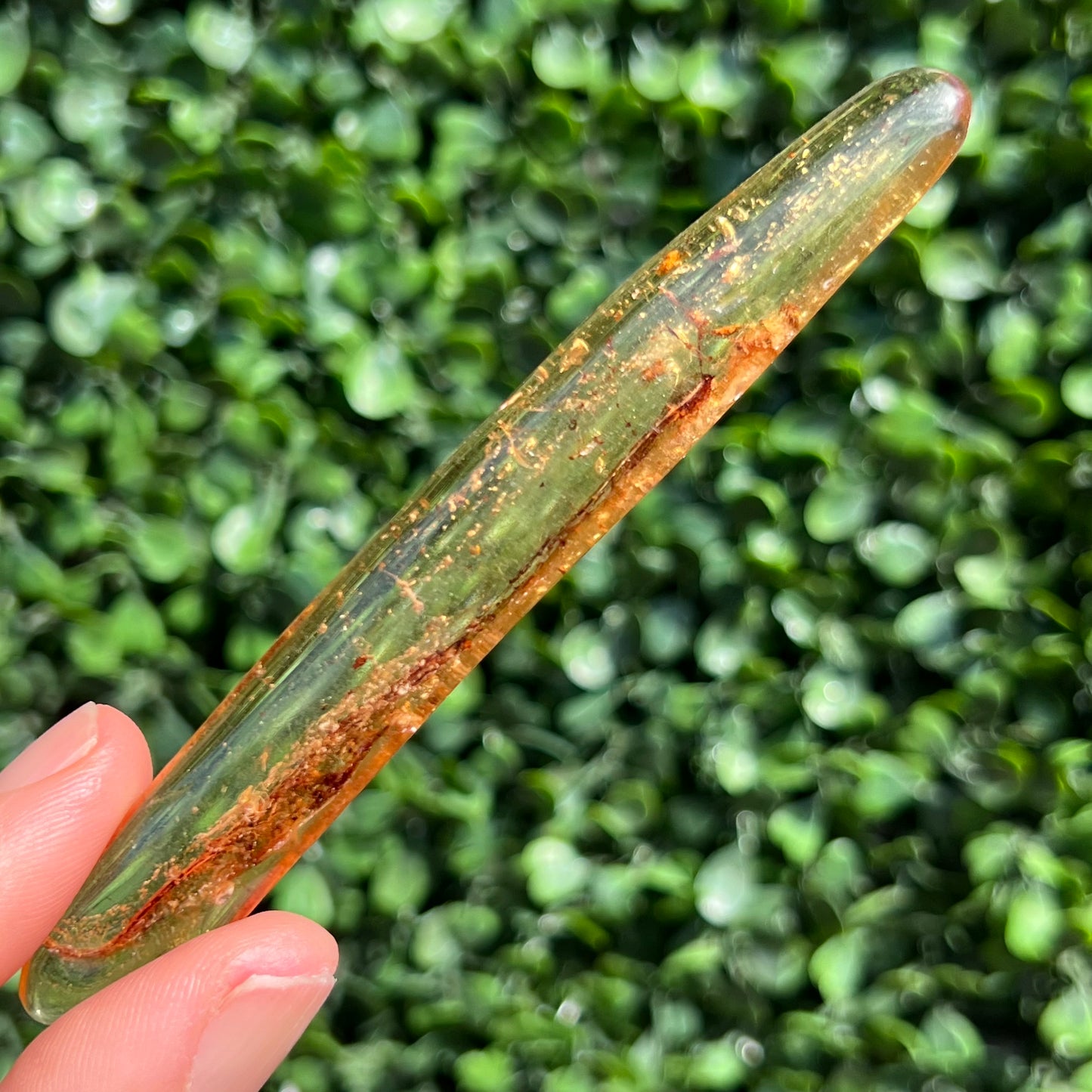 COPAL AMBER RARE SPECIMEN