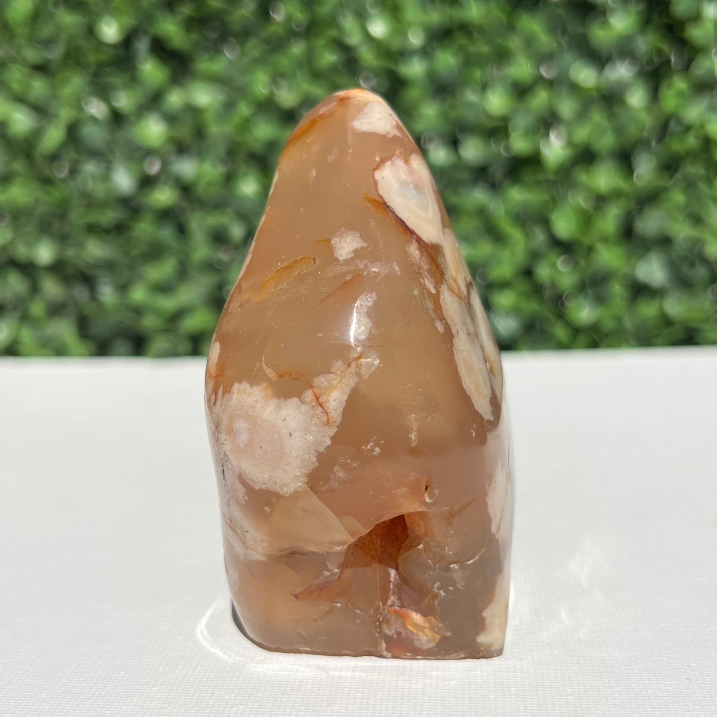 Flower Agate Free Form