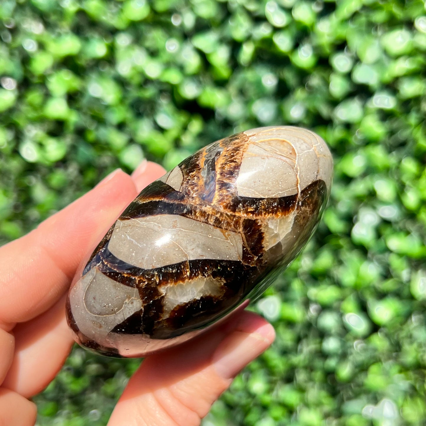 Septarian Yellow Calcite Heart