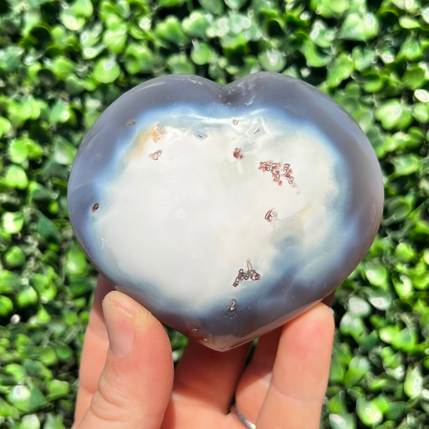 Orca Agate Heart
