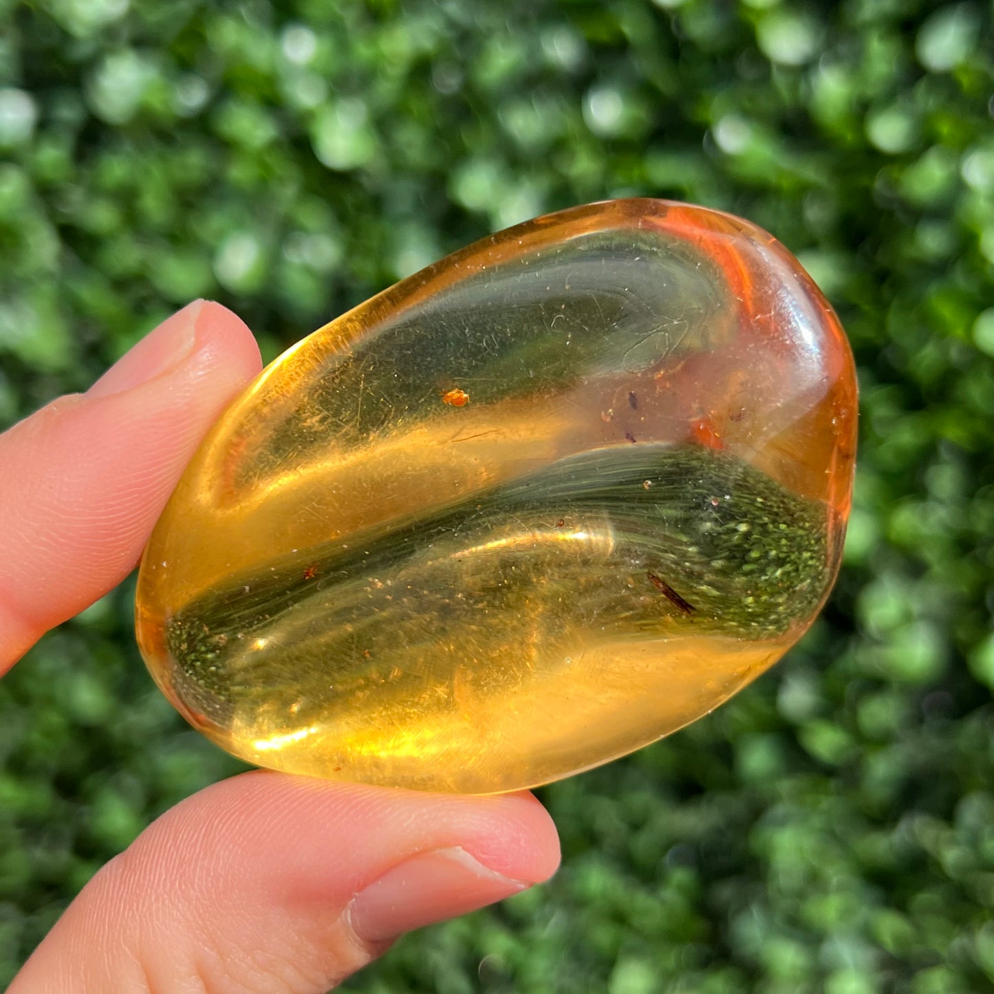 COPAL AMBER RARE SPECIMEN