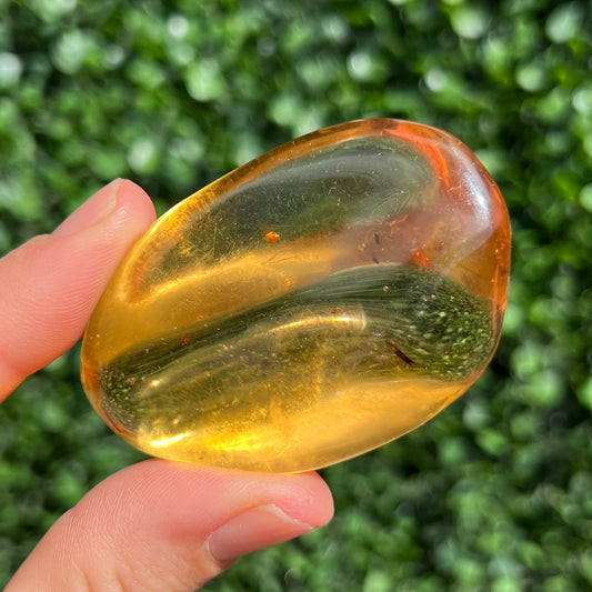 COPAL AMBER RARE SPECIMEN
