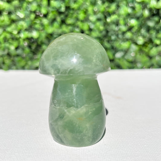 Fluorite Mushroom
