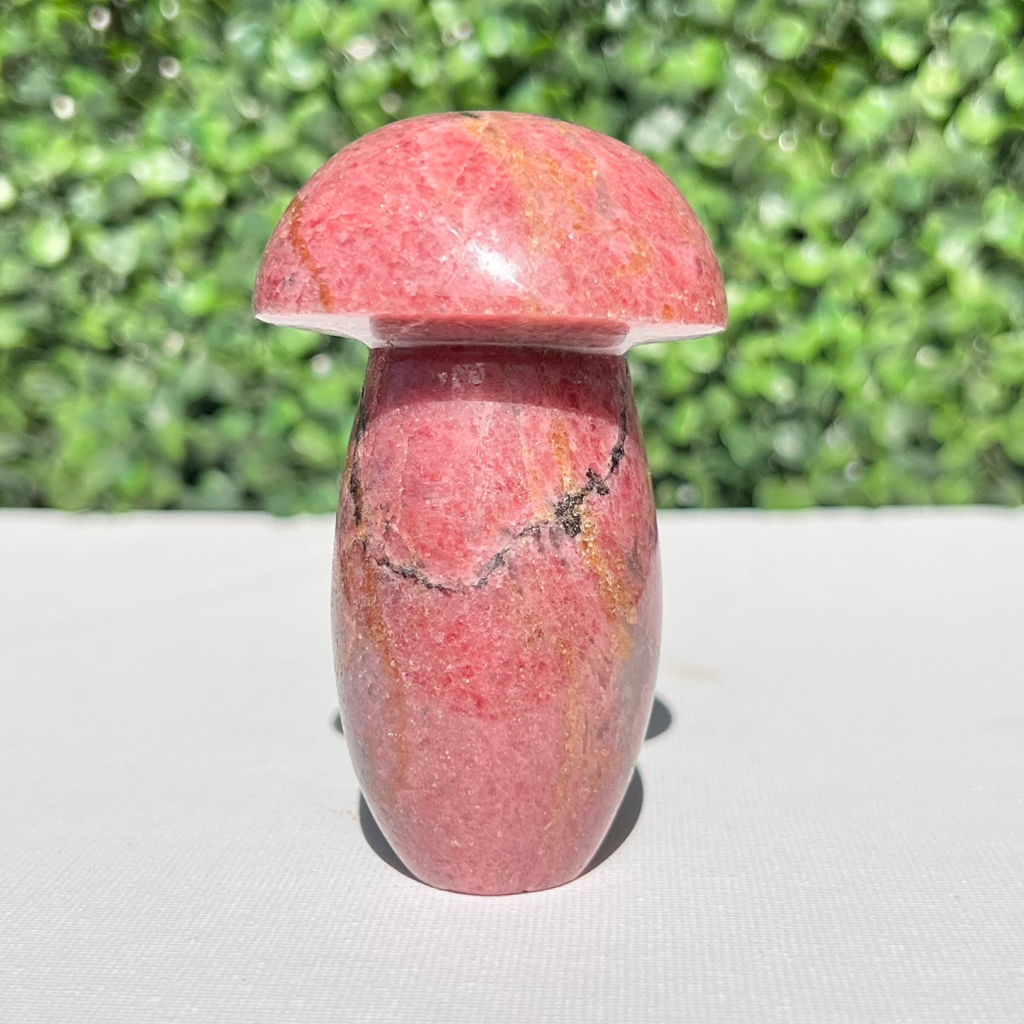 Rhodonite Mushroom