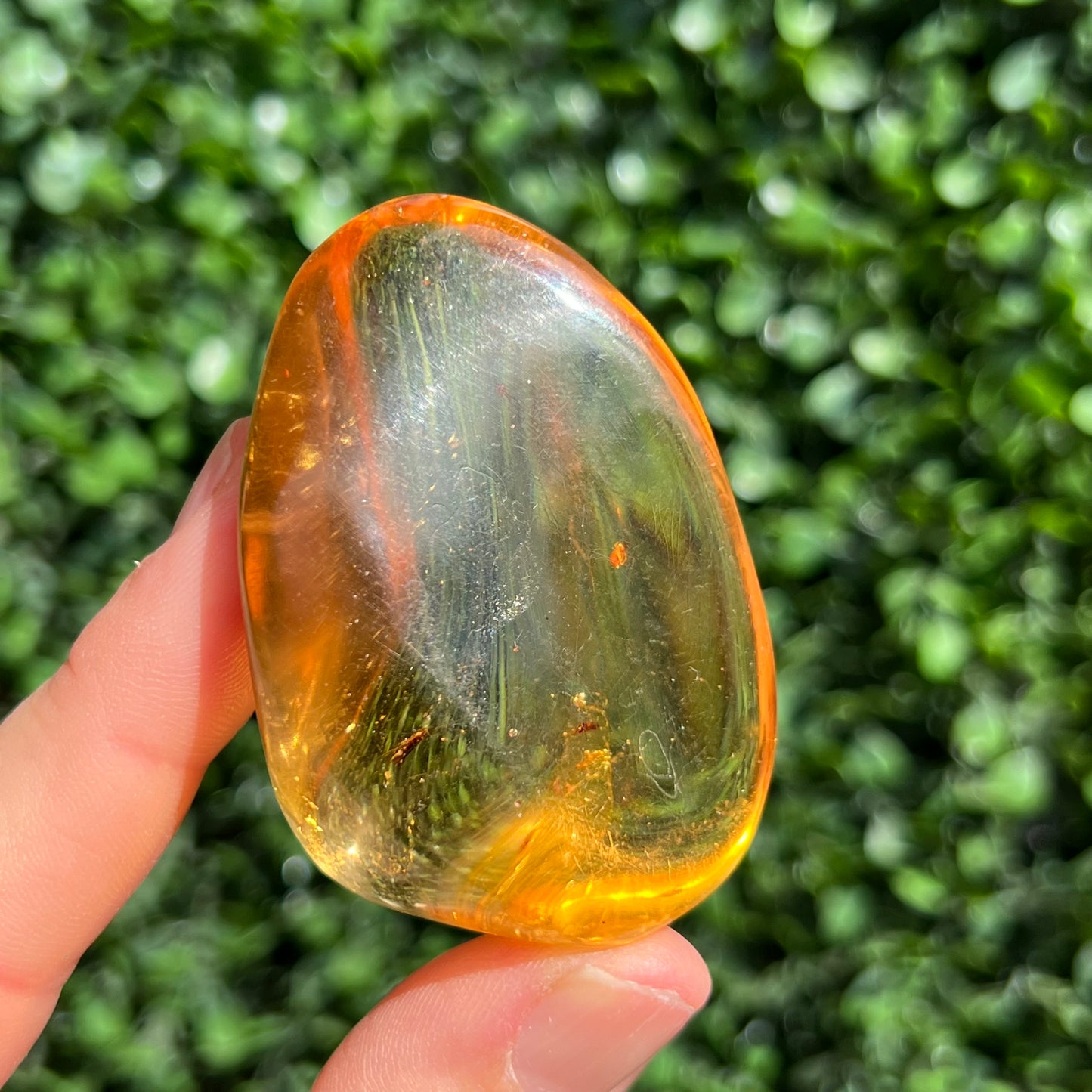 COPAL AMBER RARE SPECIMEN