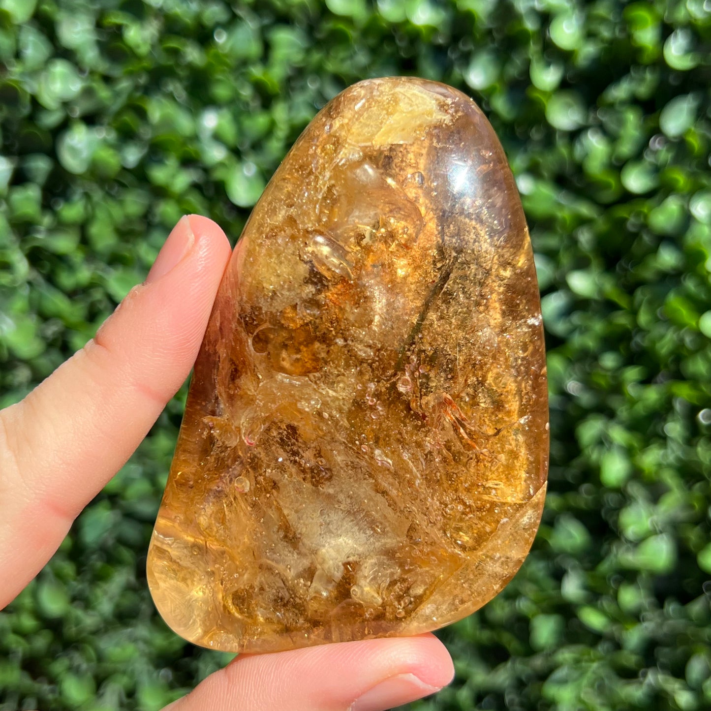 COPAL AMBER RARE SPECIMEN