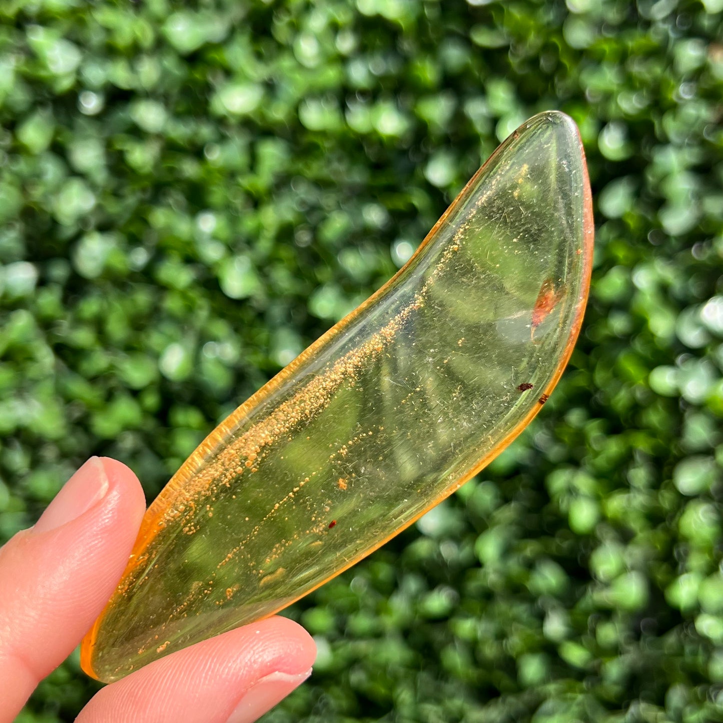 COPAL AMBER RARE SPECIMEN