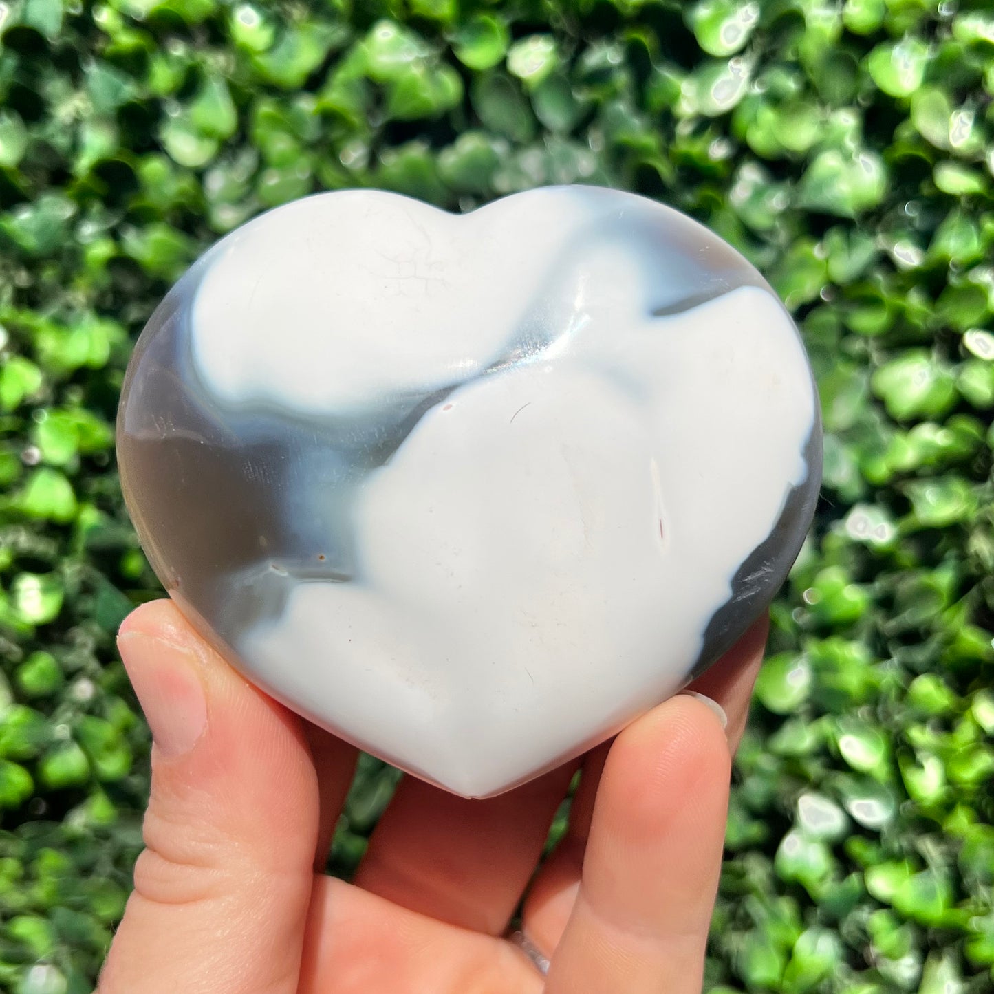 Orca Agate Heart