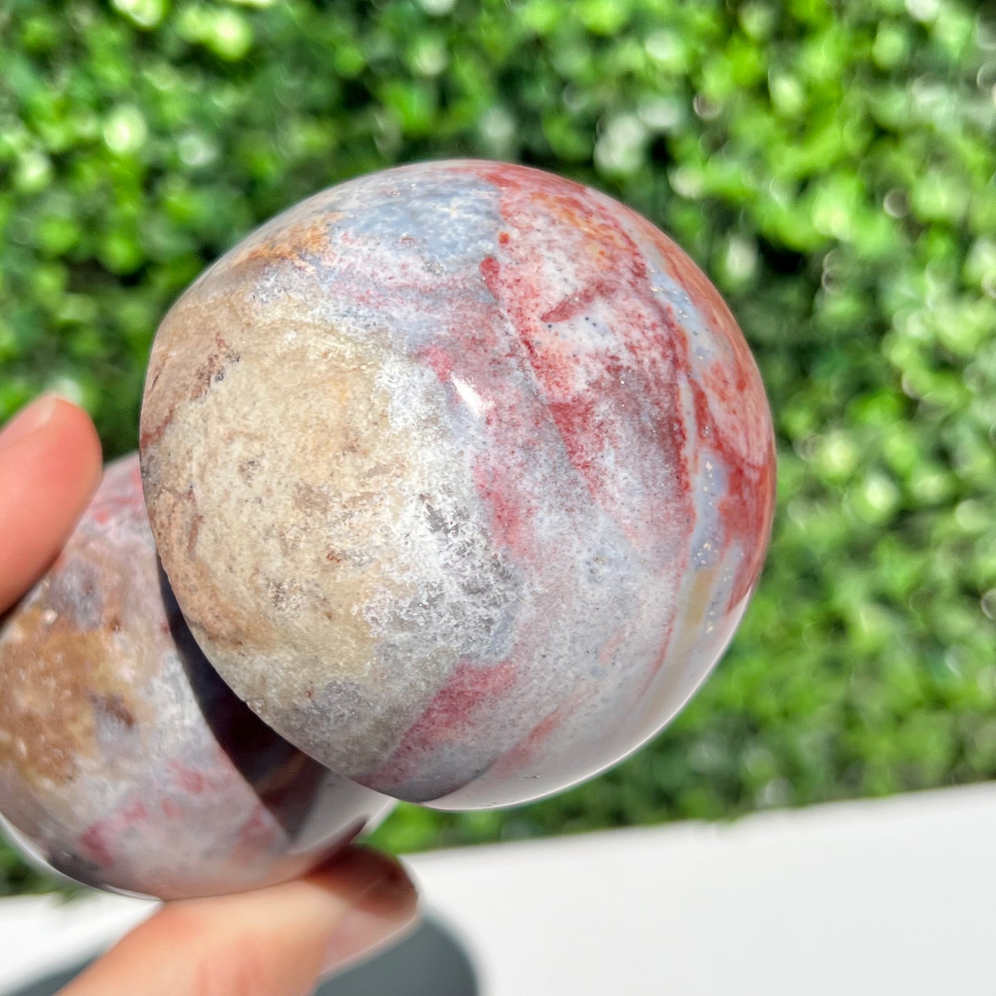 Ocean Jasper Mushroom