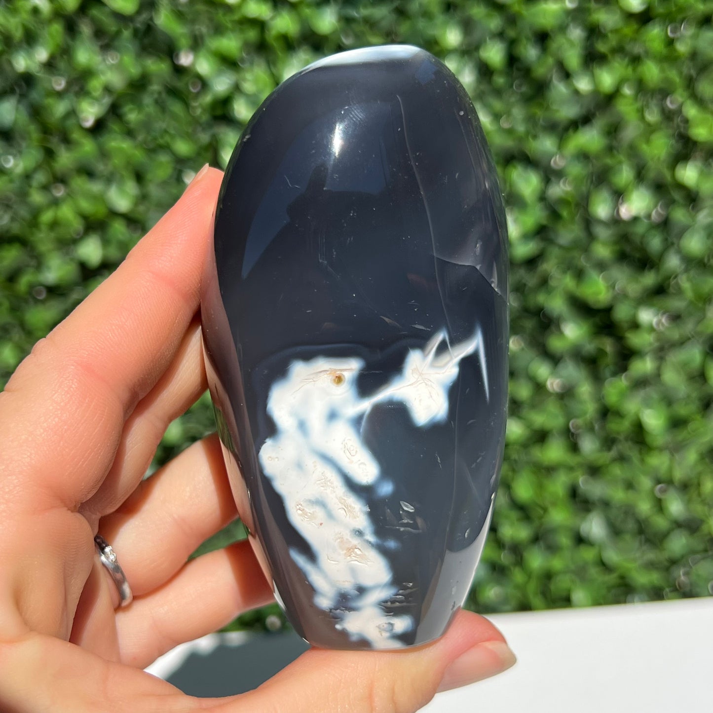 Orca Agate Free Form