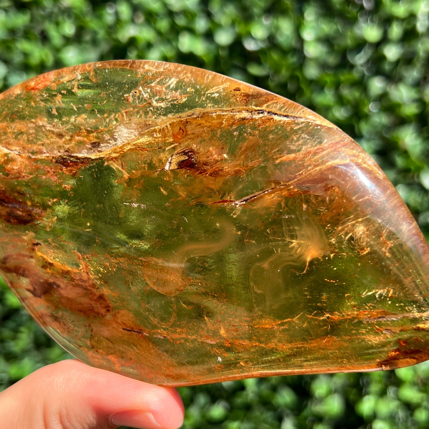COPAL AMBER RARE SPECIMEN