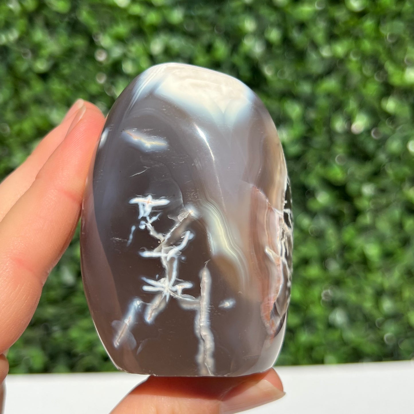 Orca Agate Free Form