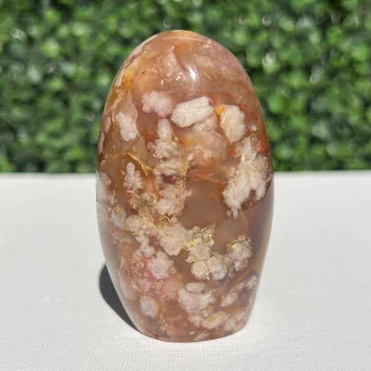 Flower Agate Free Form