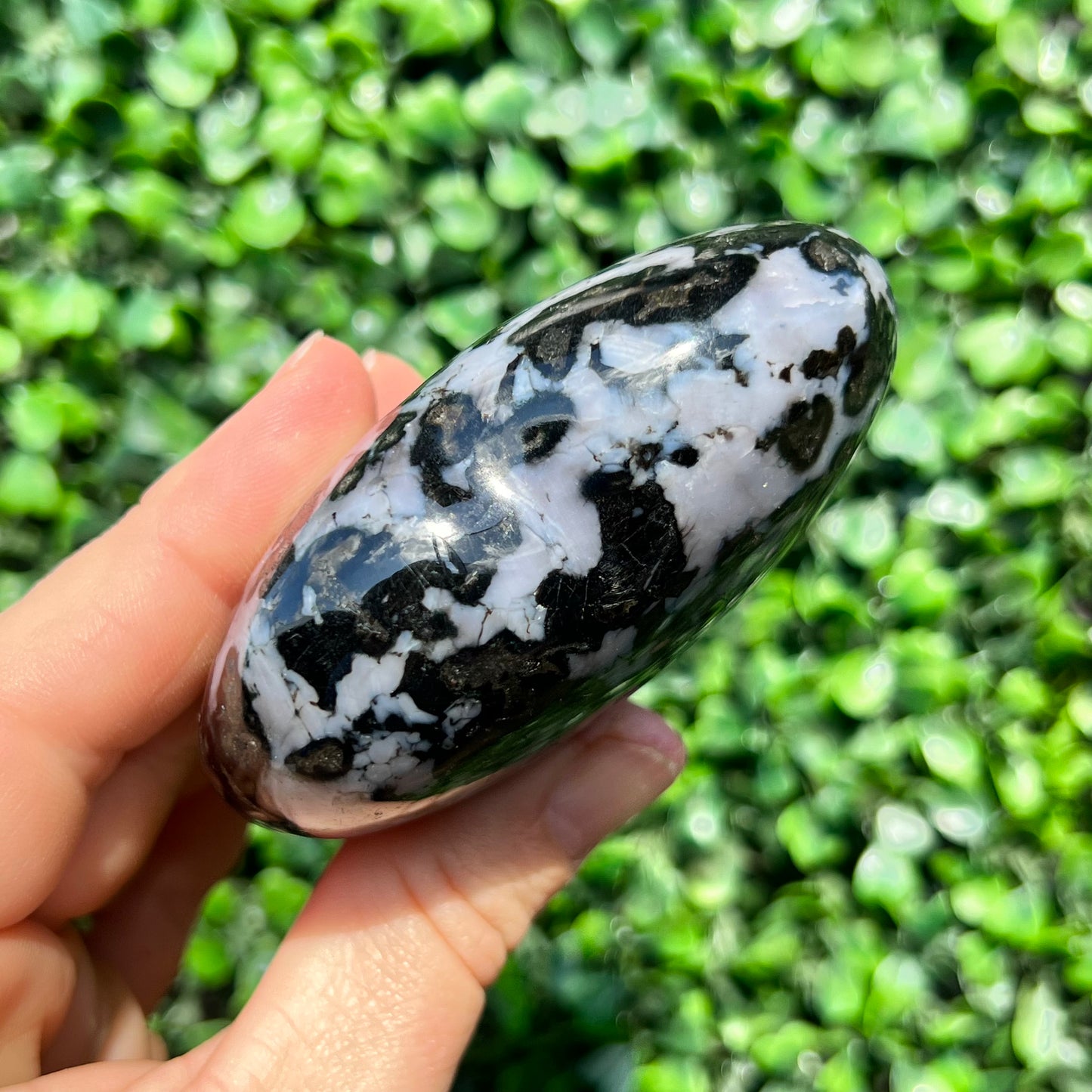 Mystic Merlinite Gabbro Heart