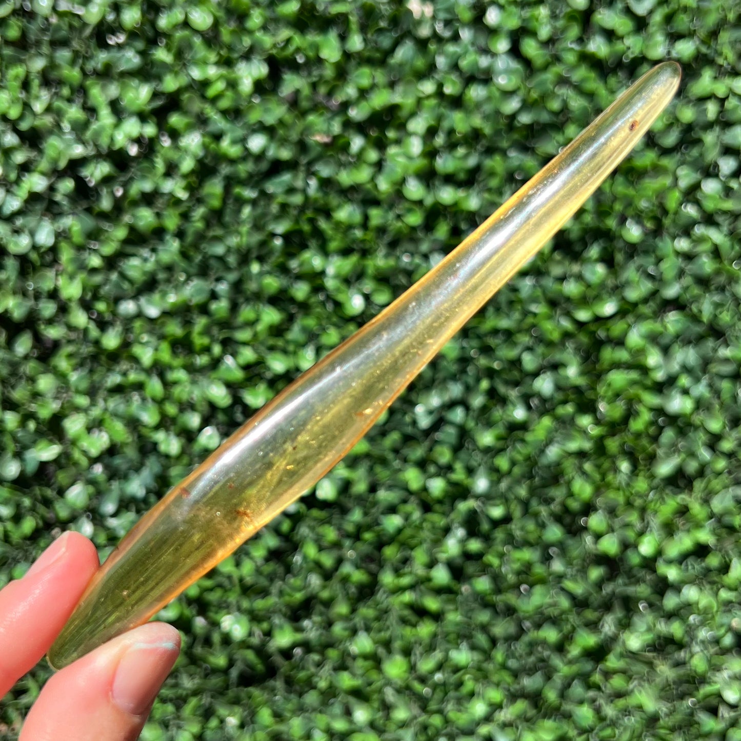 COPAL AMBER RARE SPECIMEN