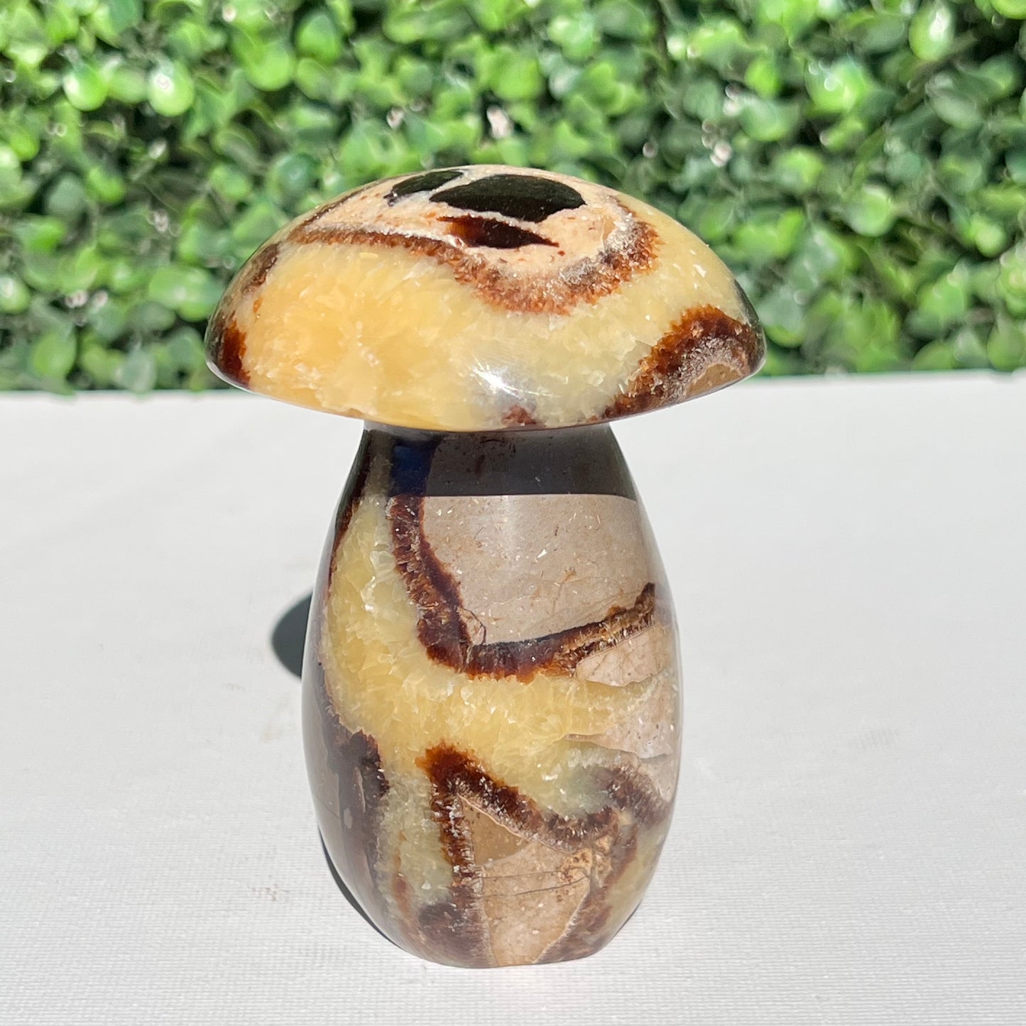 Septarian Yellow Calcite Mushroom