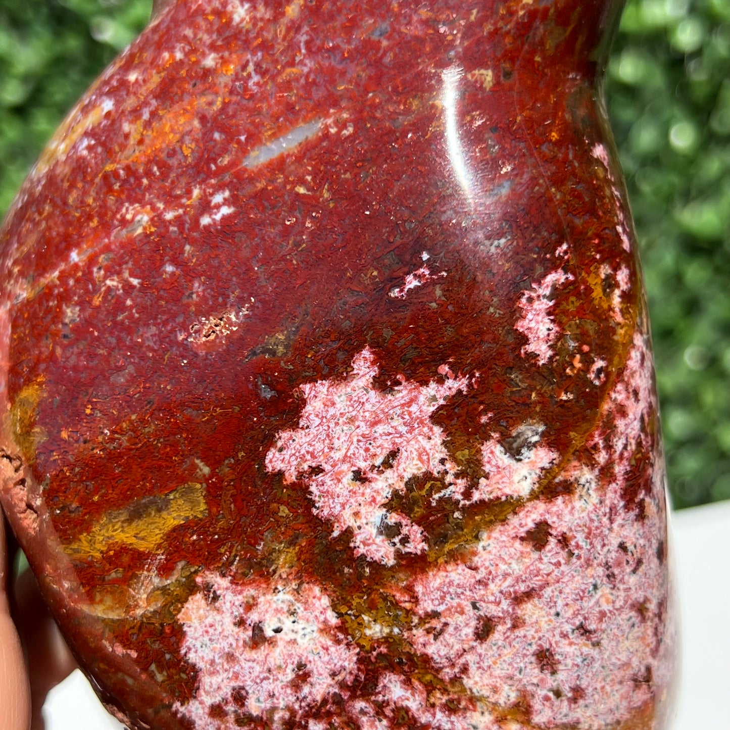 Ocean Jasper Free Form