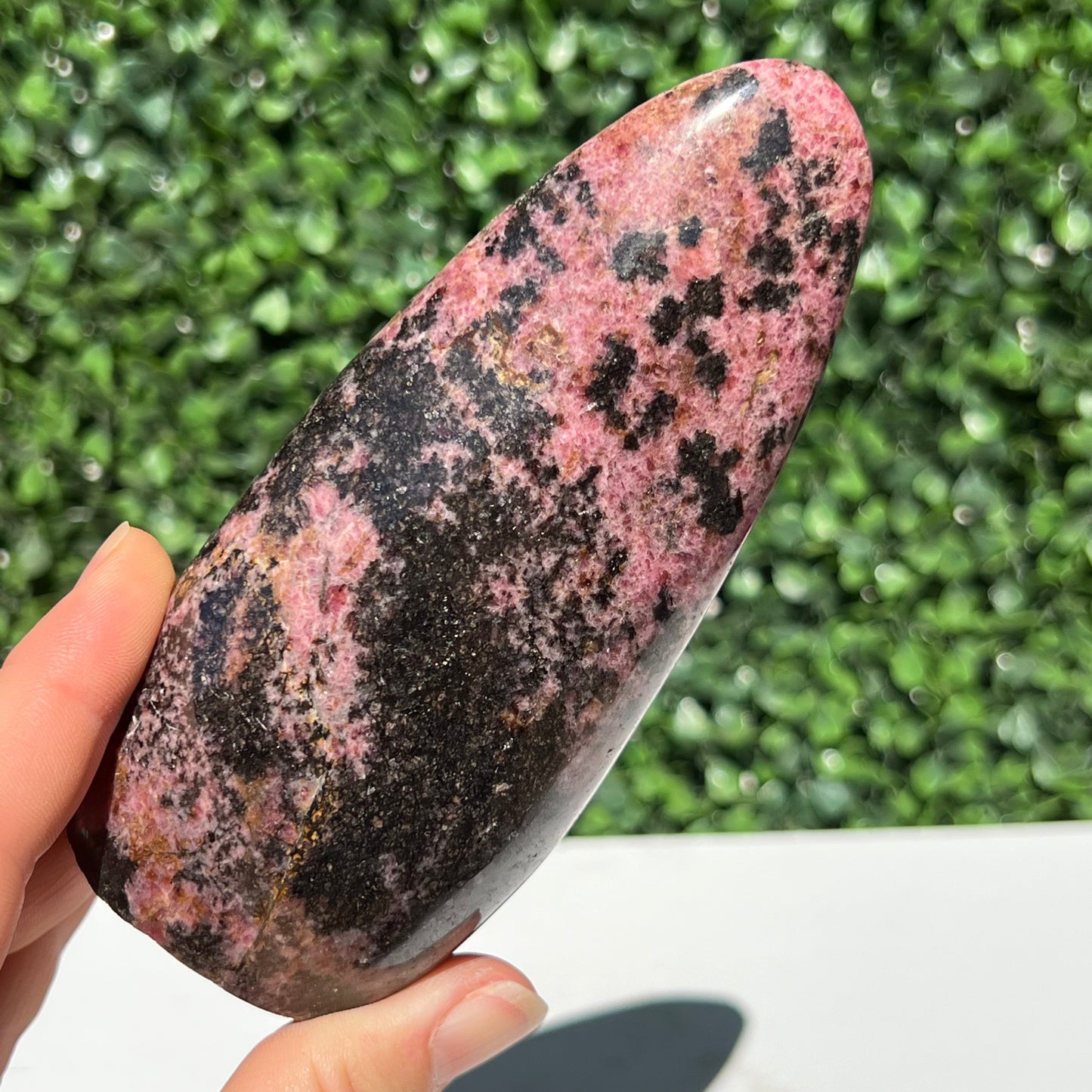Rhodonite Free Form