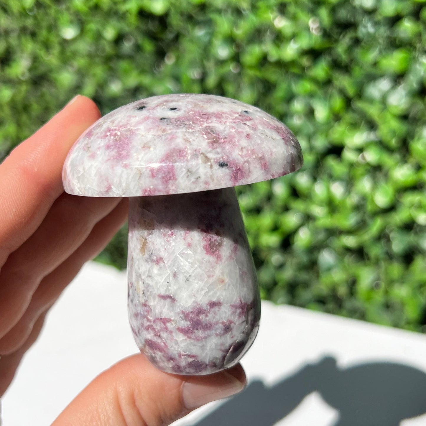Eudialyte Mushroom