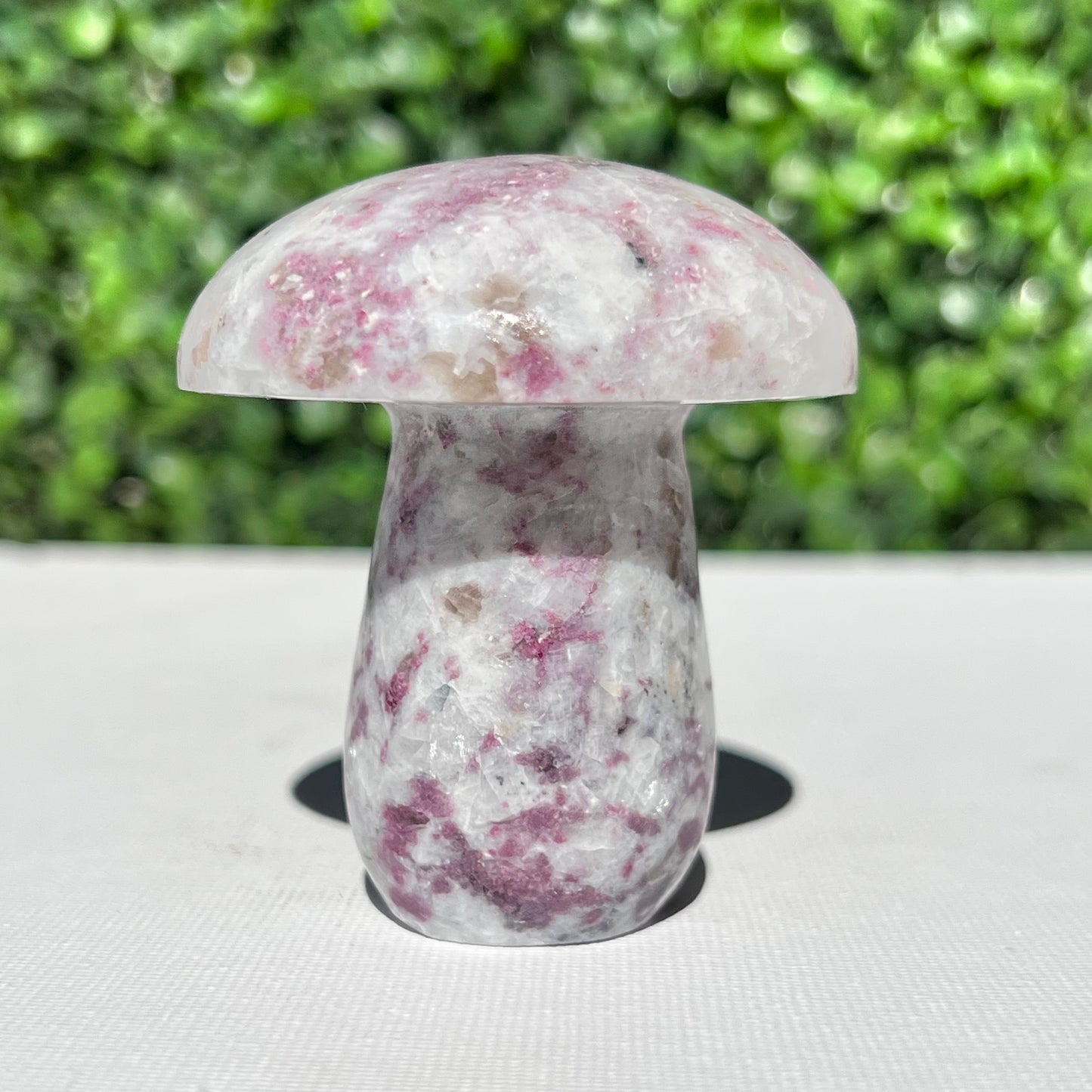 Eudialyte Mushroom
