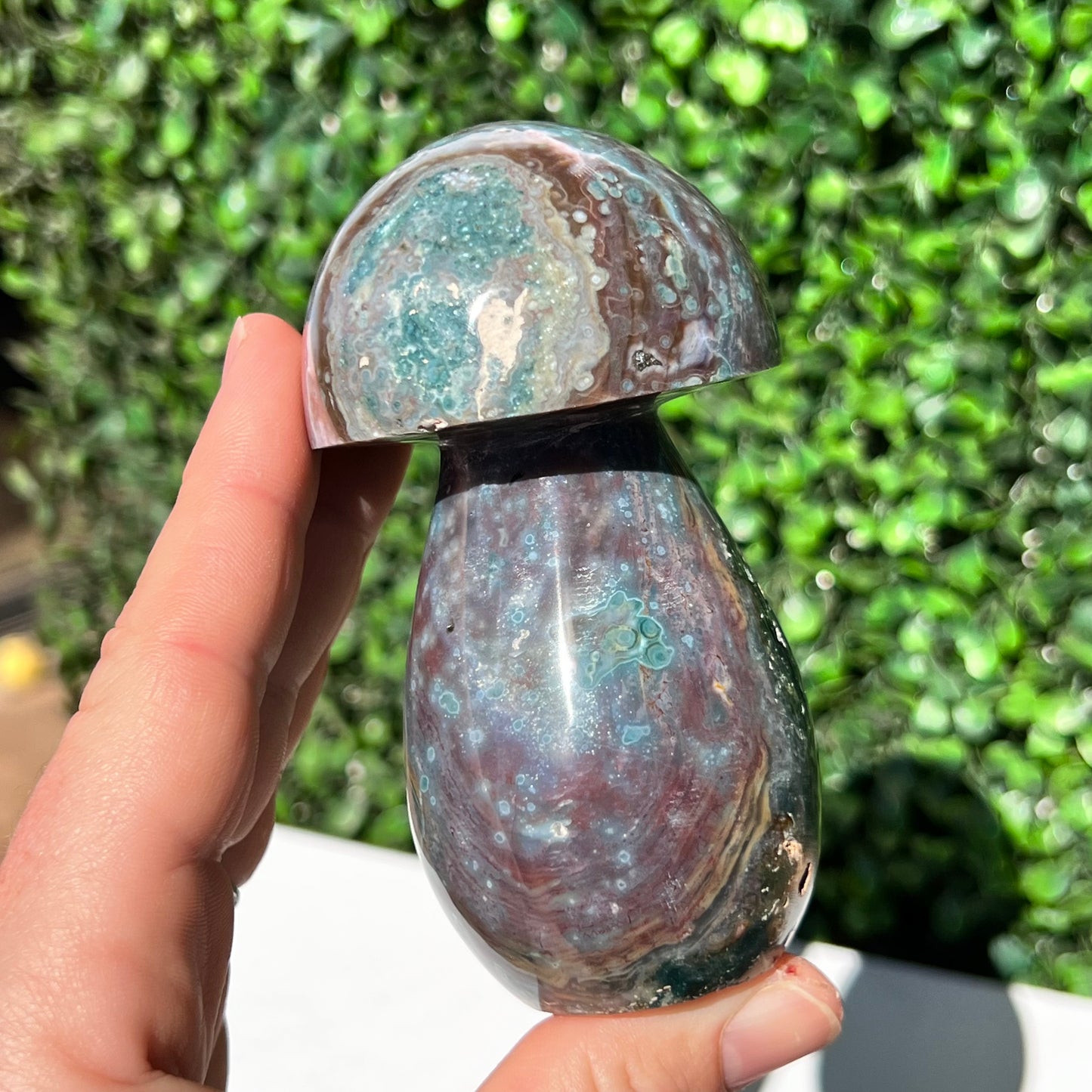 Ocean Jasper Mushroom