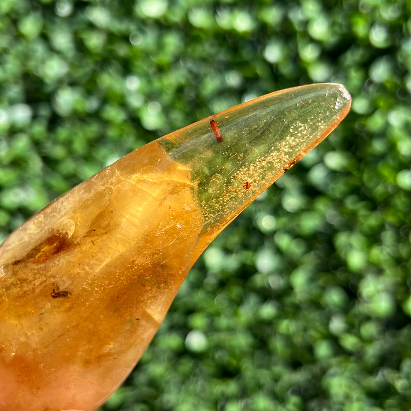 COPAL AMBER RARE SPECIMEN