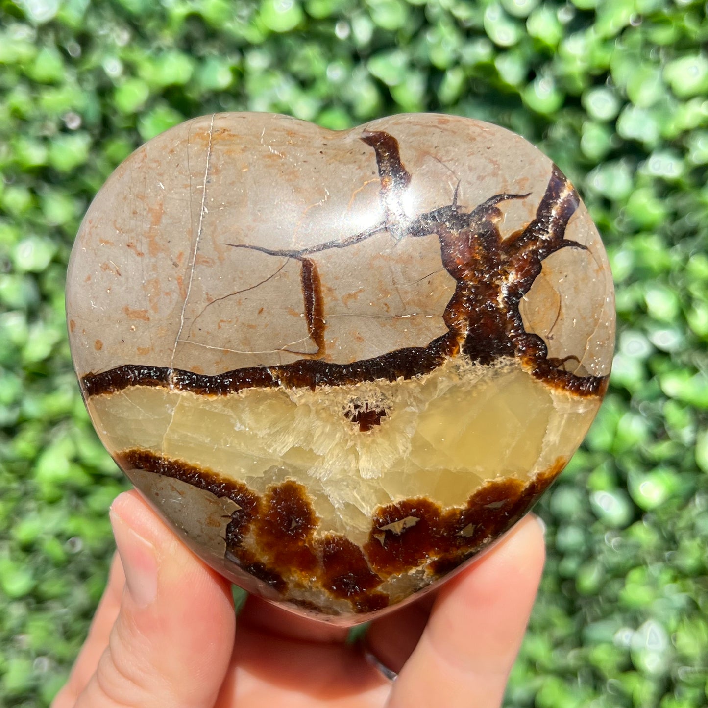Septarian Yellow Calcite Heart