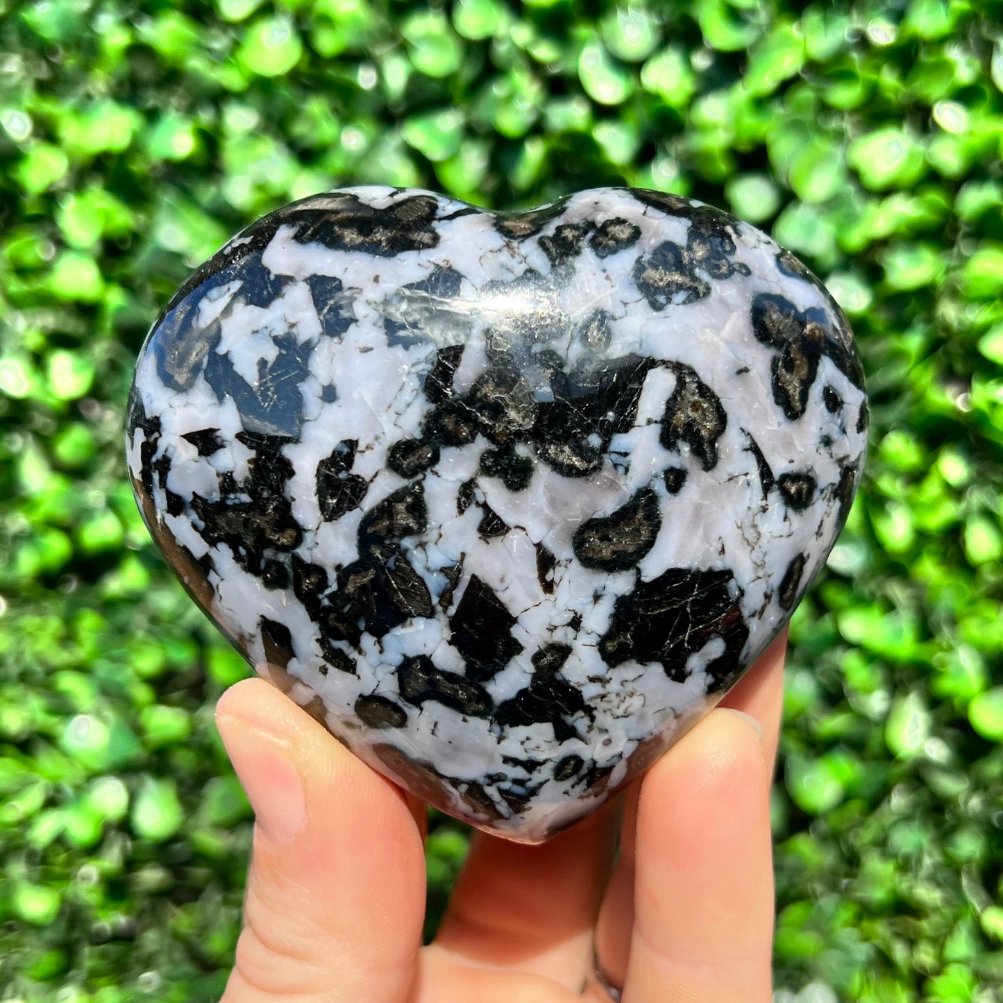 Mystic Merlinite Gabbro Heart