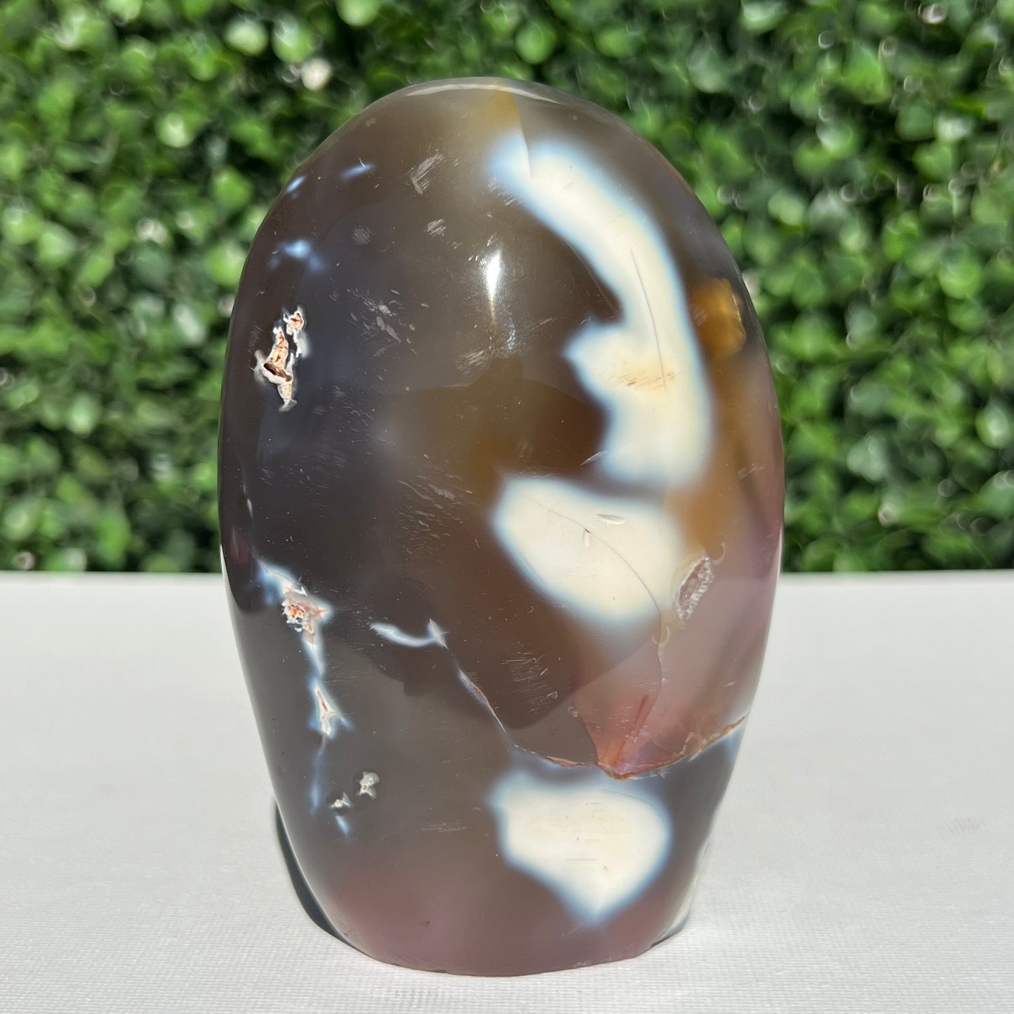 Orca Agate Free Form