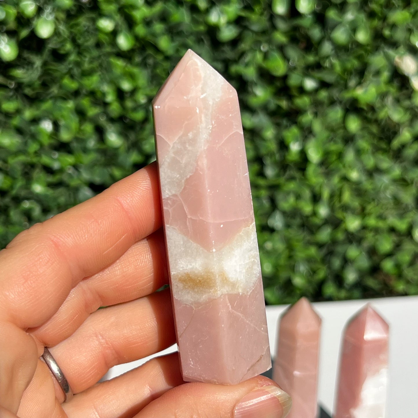 Pink Opal Point’s