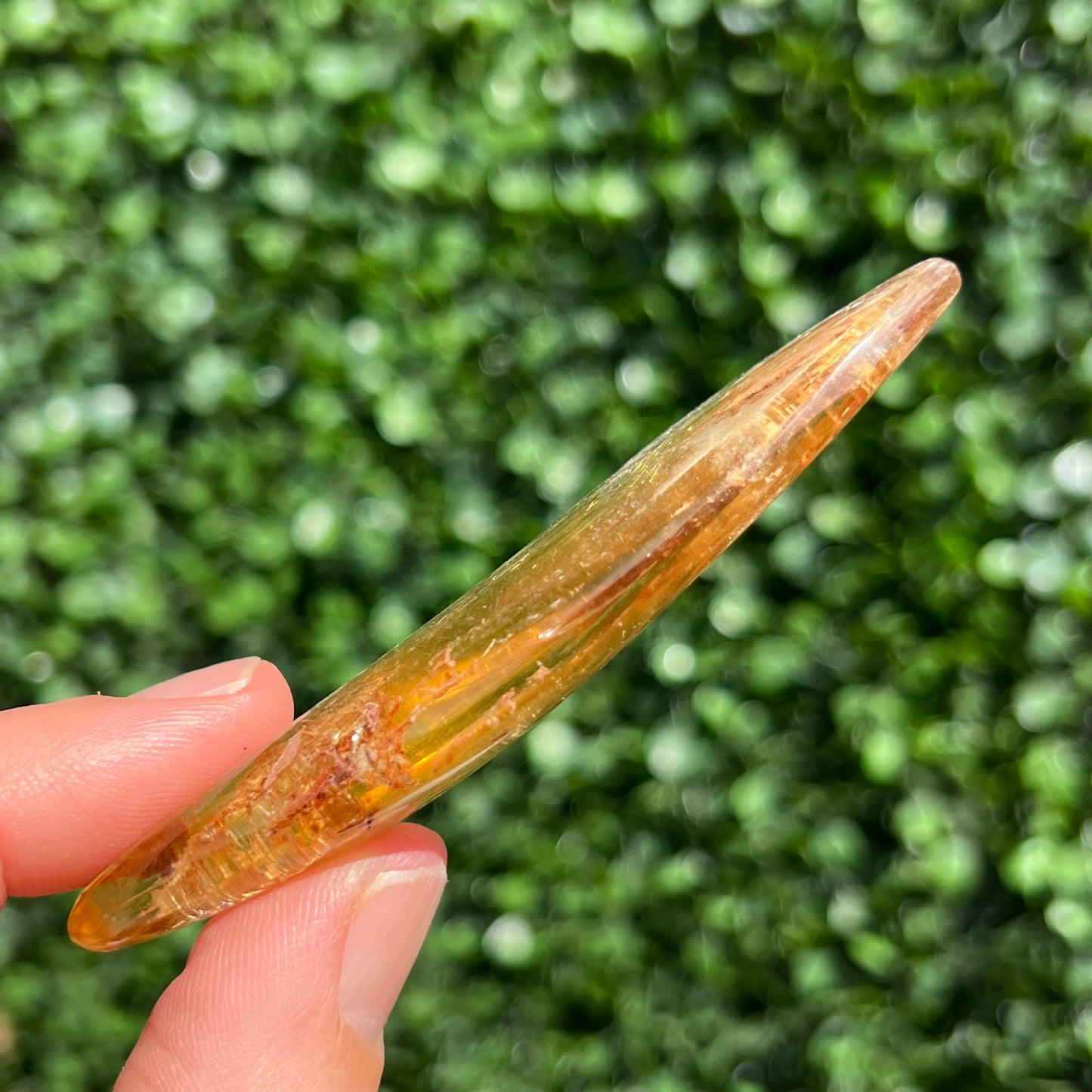 COPAL AMBER RARE SPECIMEN