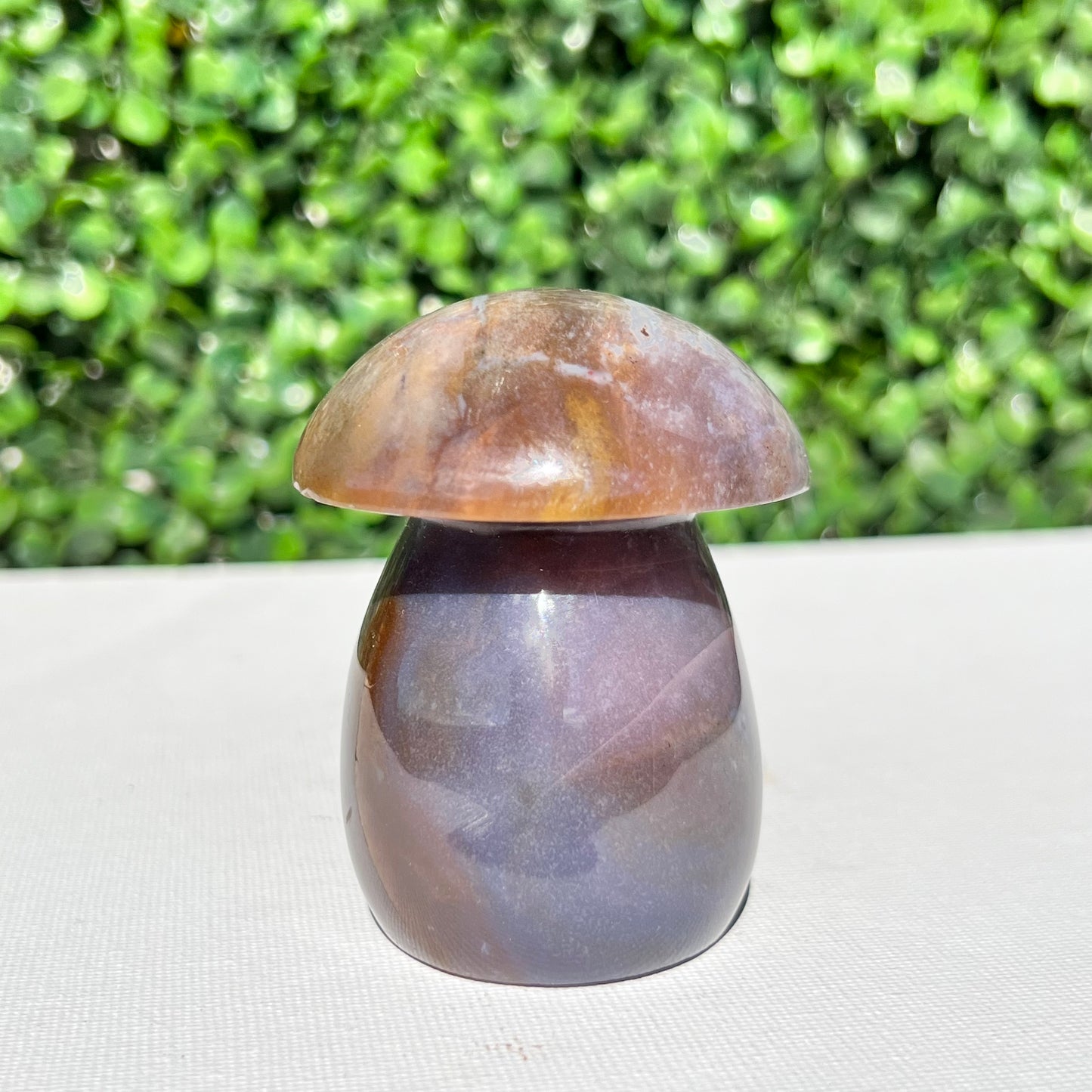 Polychrome Desert Japser Mushroom