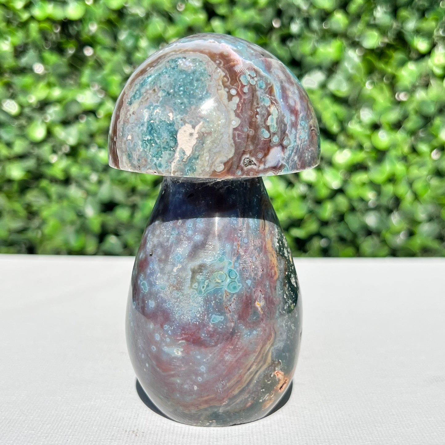 Ocean Jasper Mushroom
