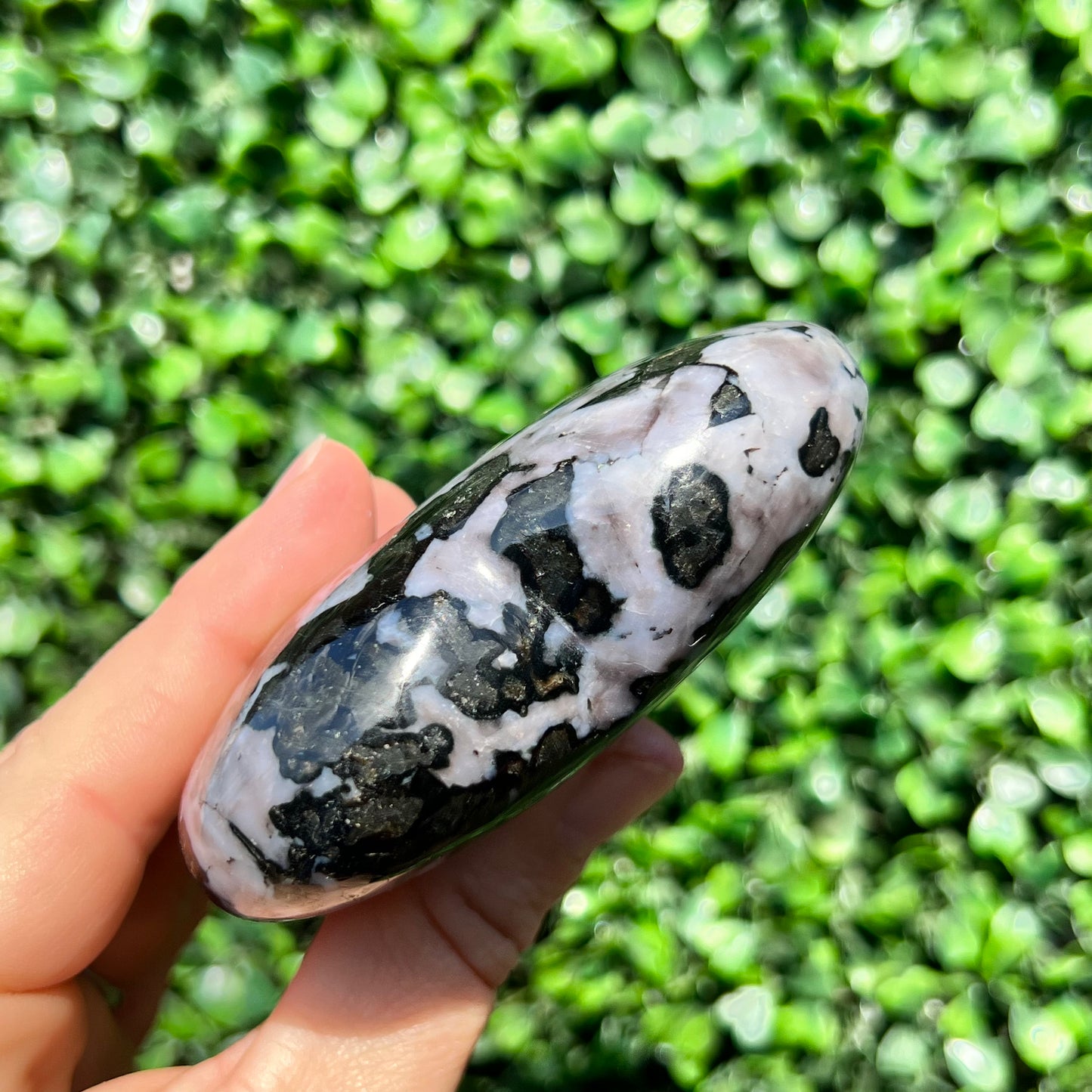 Mystic Merlinite Gabbro Heart
