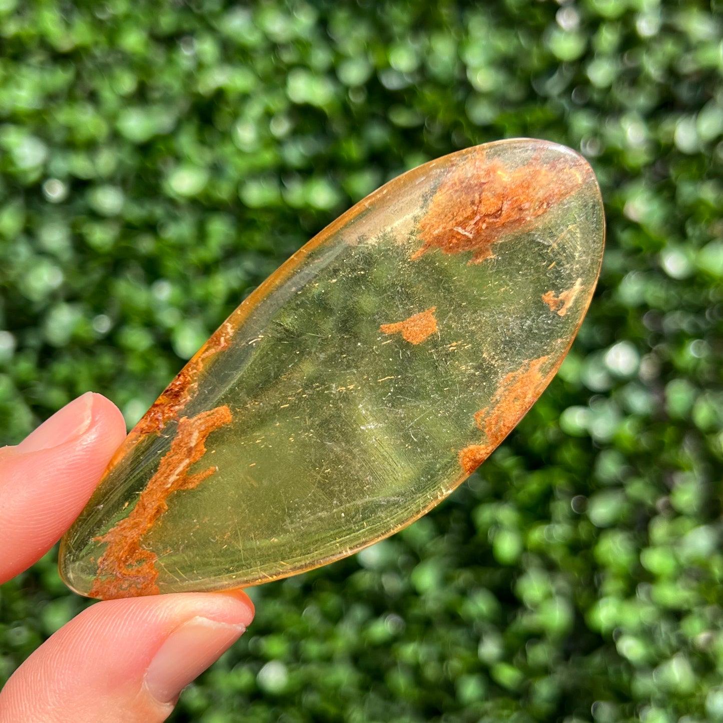COPAL AMBER RARE SPECIMEN