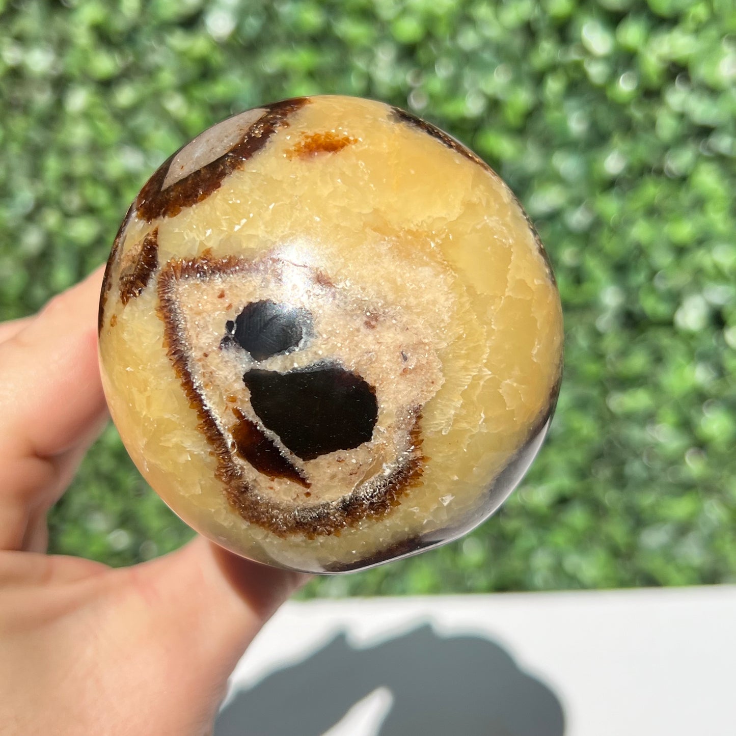 Septarian Yellow Calcite Mushroom