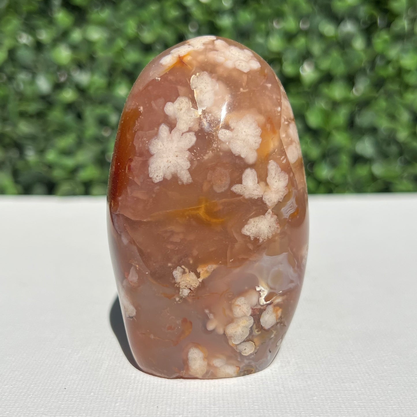 Flower Agate Free Form