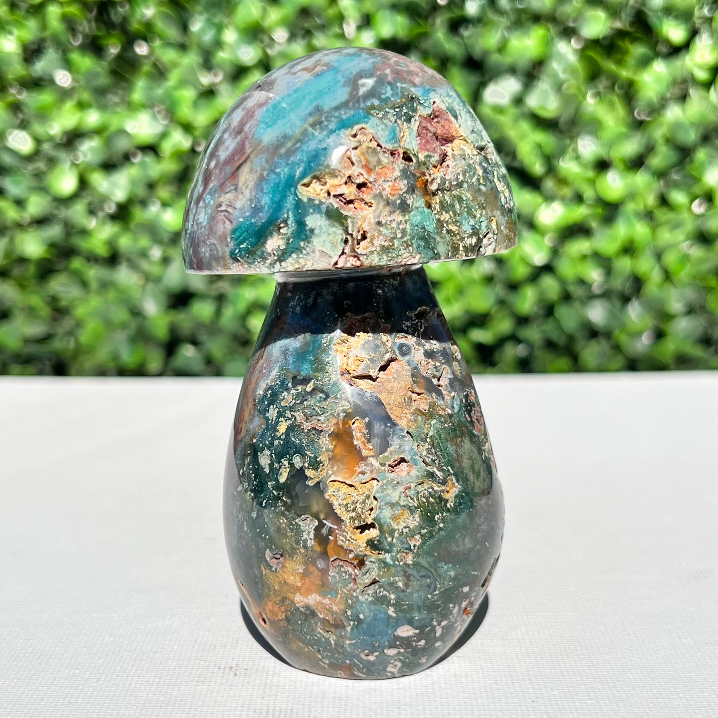 Ocean Jasper Mushroom