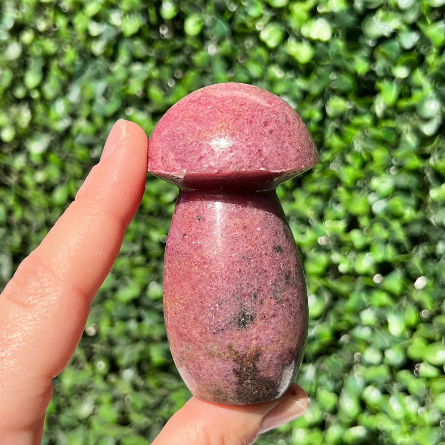 Rhodonite Mushroom