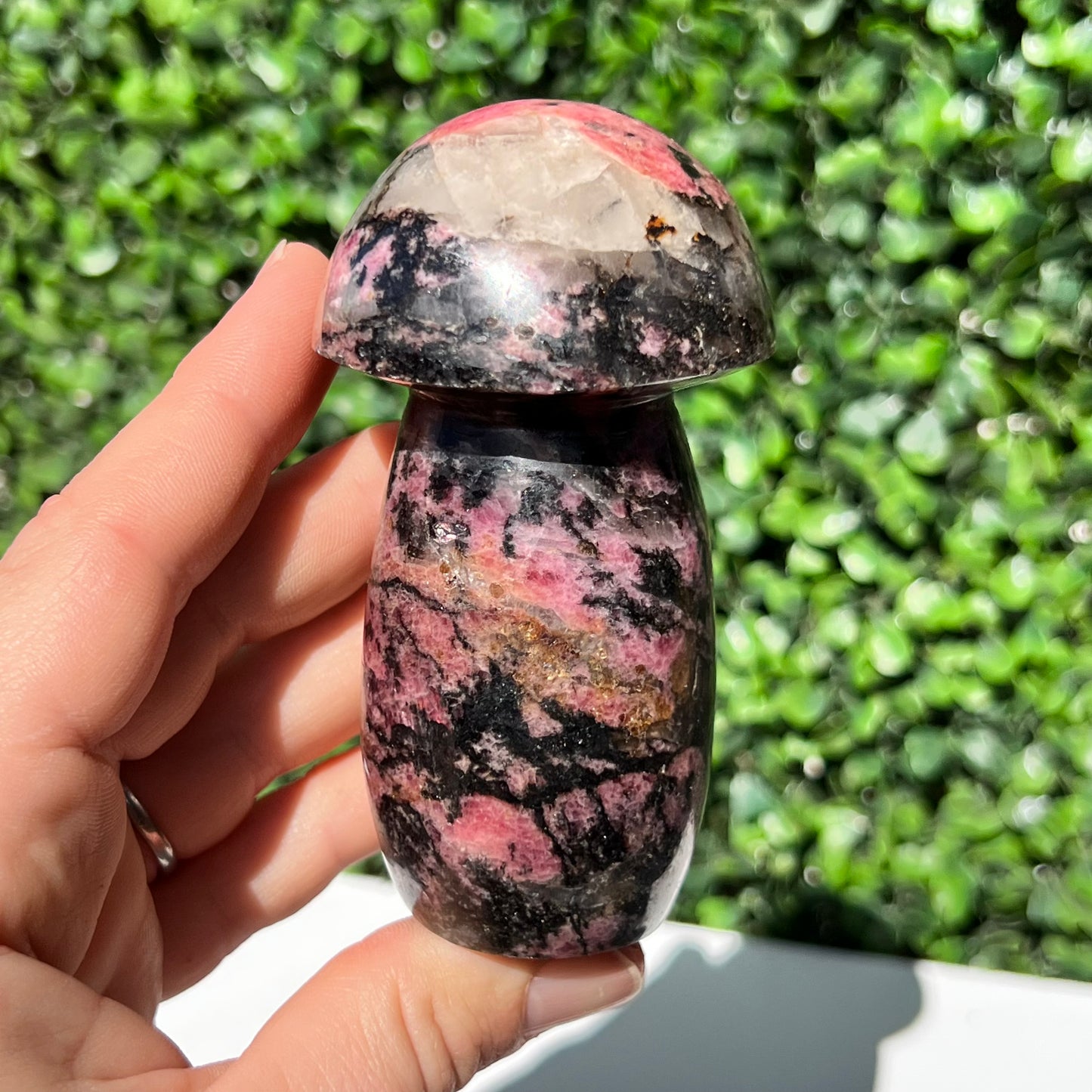 Rhodonite Mushroom