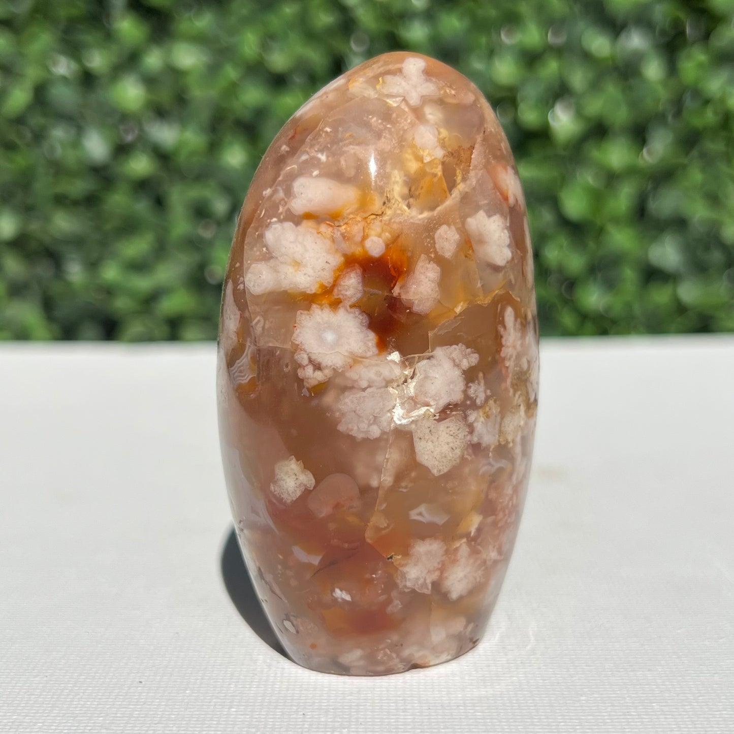 Flower Agate Free Form