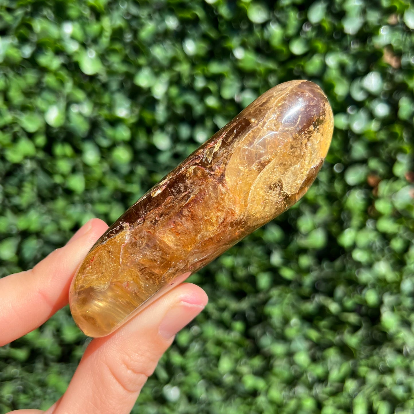 COPAL AMBER RARE SPECIMEN