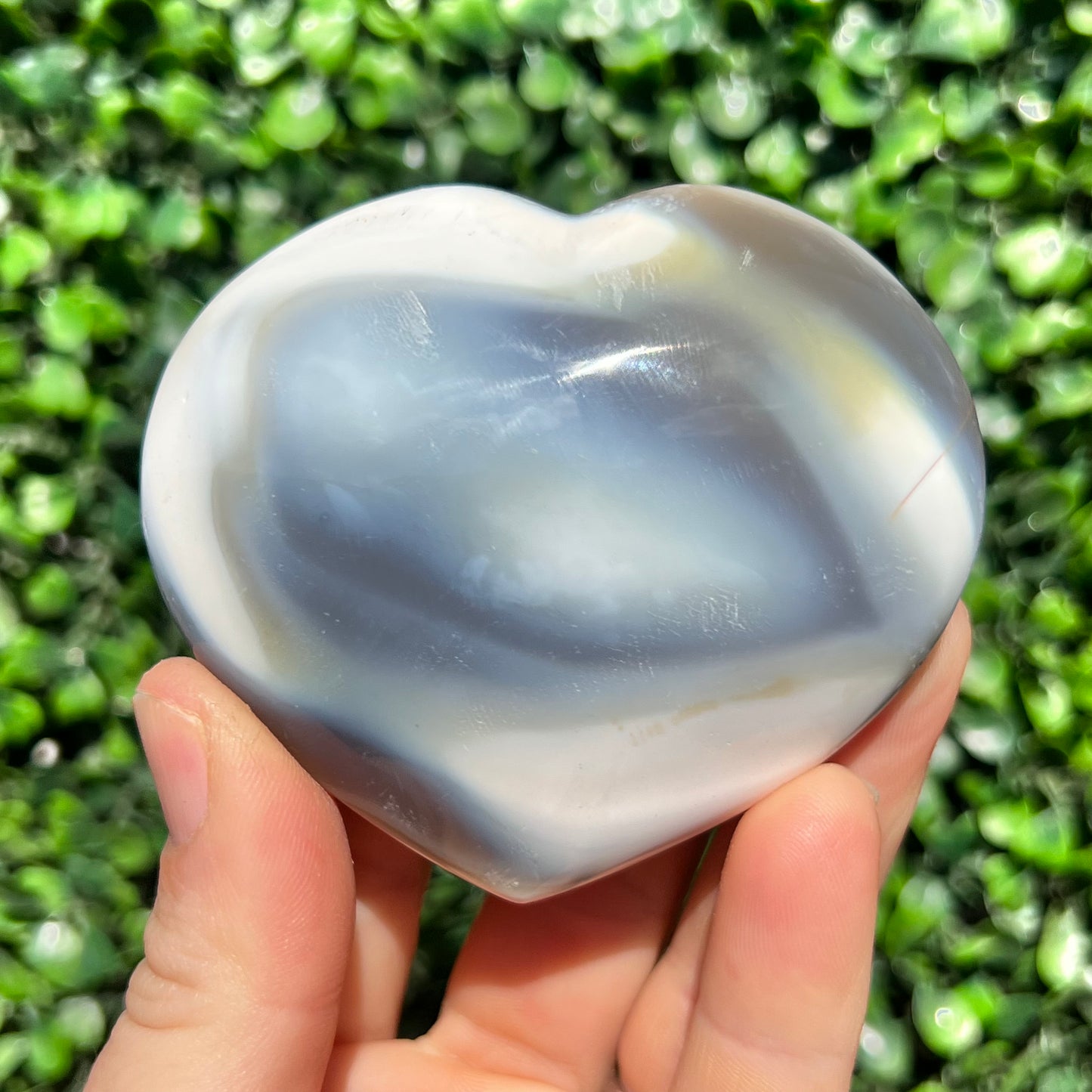 Orca Agate Heart