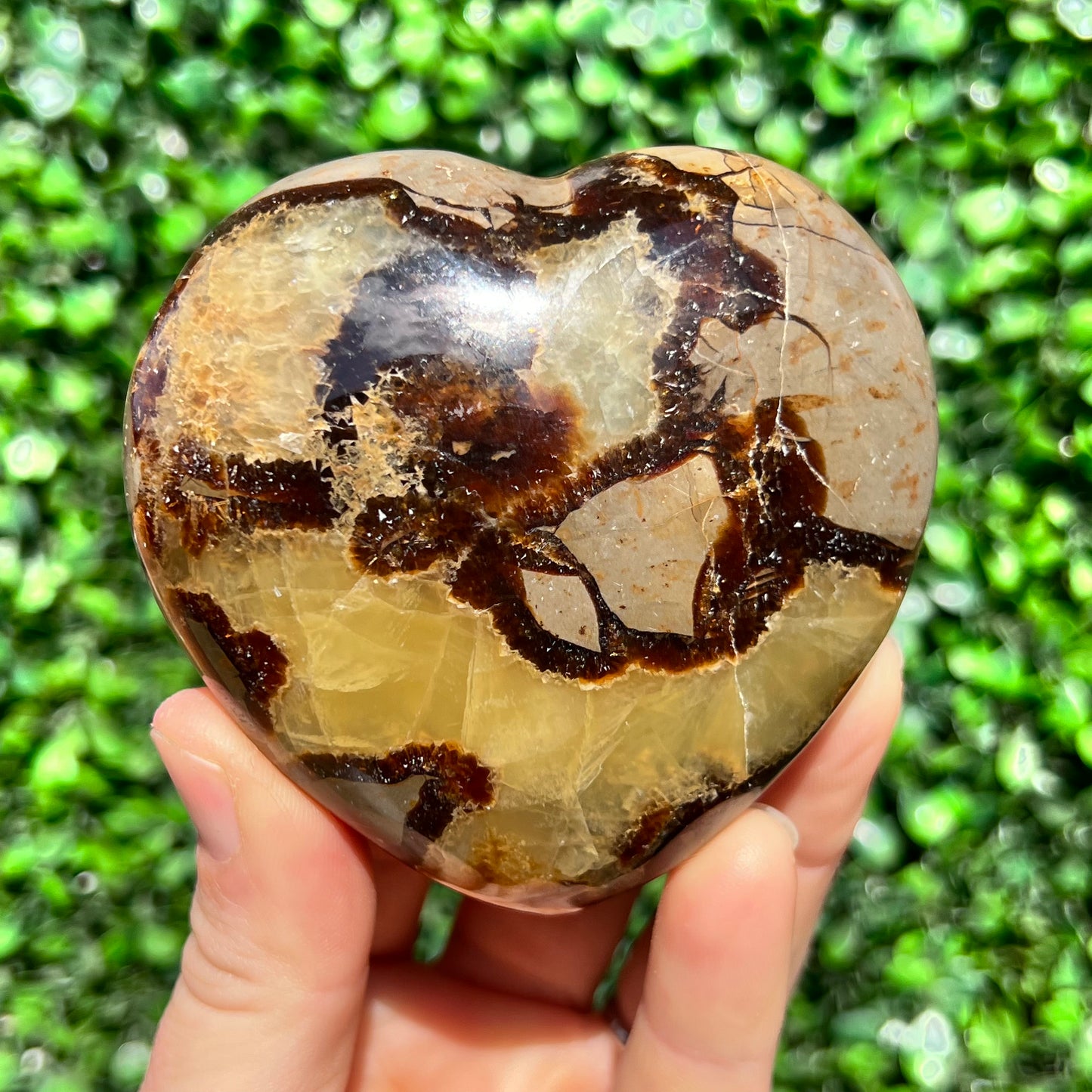 Septarian Yellow Calcite Heart