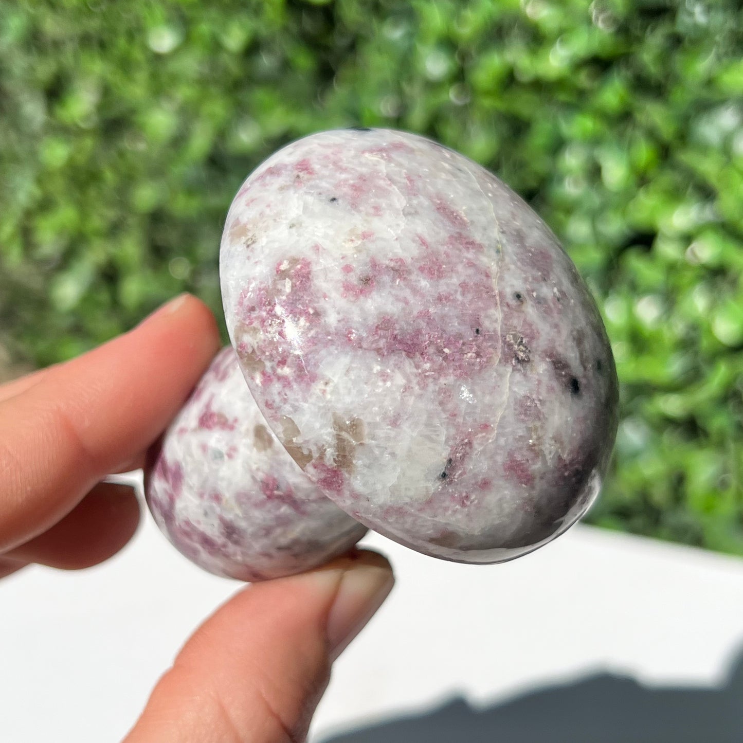Eudialyte Mushroom
