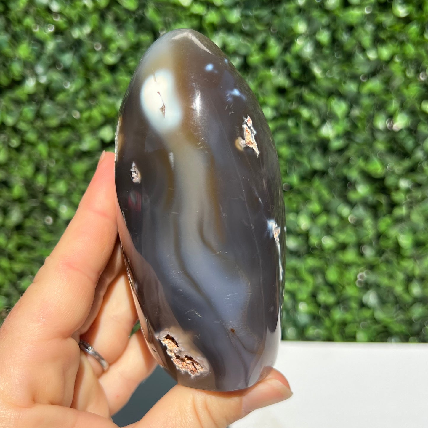 Orca Agate Free Form