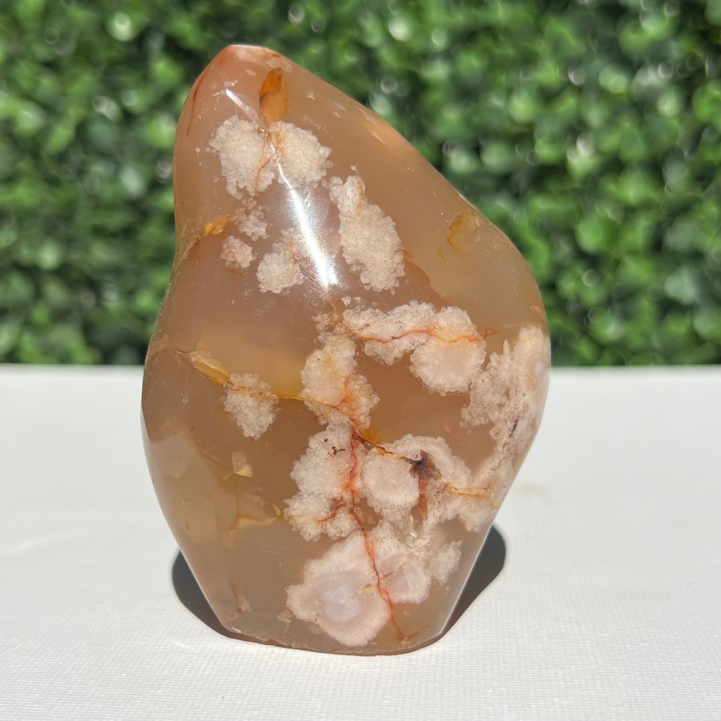 Flower Agate Free Form